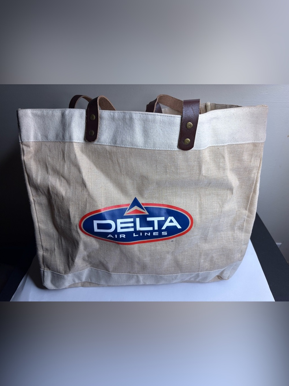 Delta Canvas Logo Tote in Natural, Blue and Red